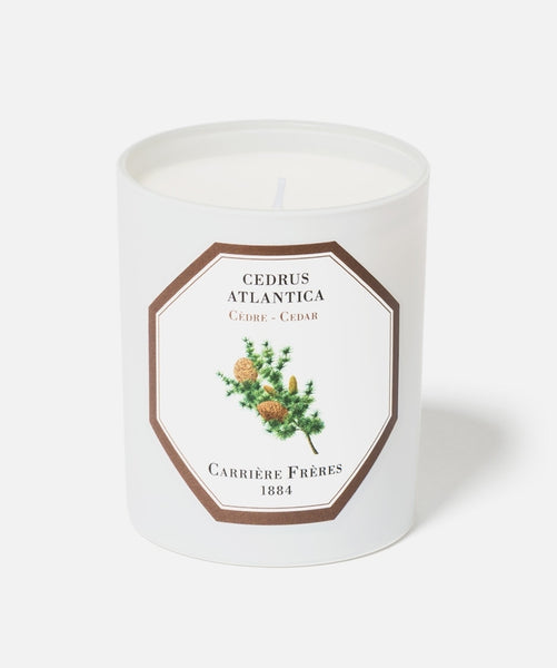 Carrière Frères Candle, cedar