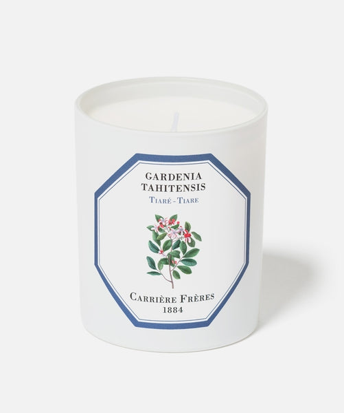 Carrière Frères Candle, gardenia