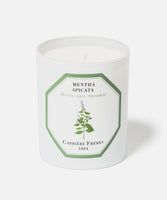 Carrière Frères Candle, spearmint