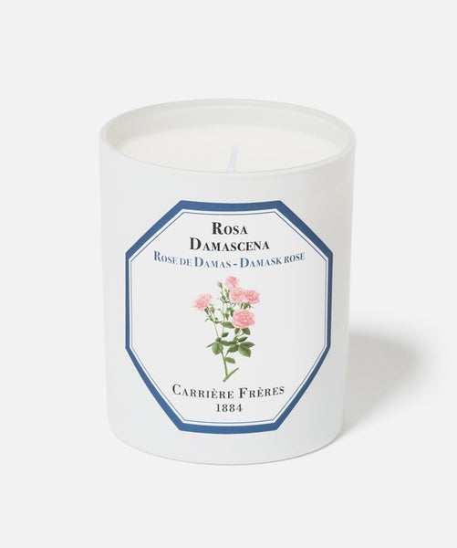 Carrière Frères Candle, Damask rose