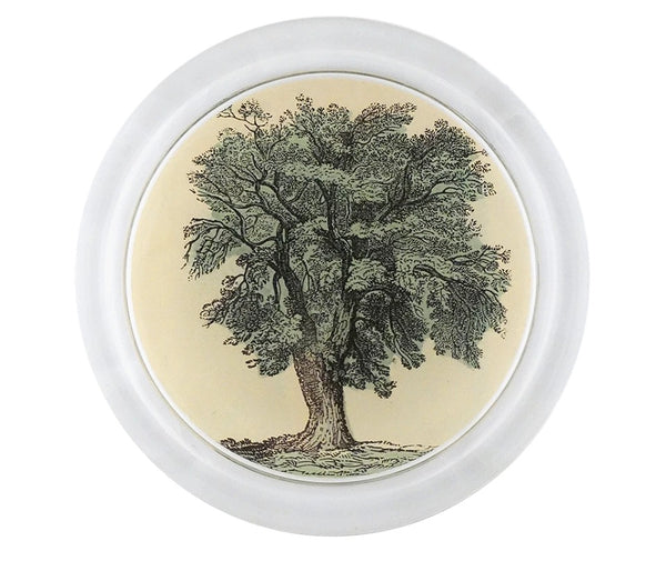 Oak Tree Coaster, 6"
