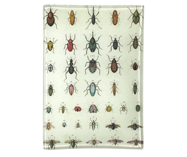 Torn Insects Mini-Tray