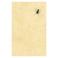 Dark Bug Postcards (pack of 10)